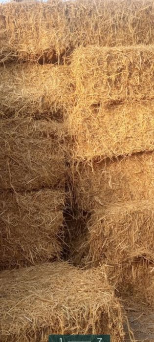 Сомон пресс сотилади