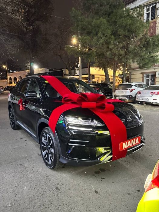 Avtobant, lenta, bantik, Avtobantik