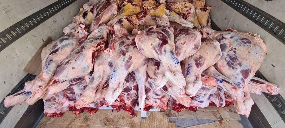 Говядина халал оптом