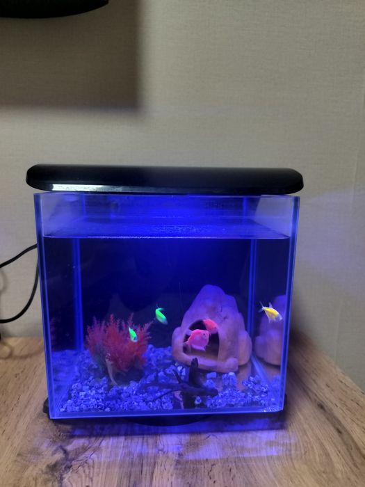 Аквариум Tetra, 10 литров