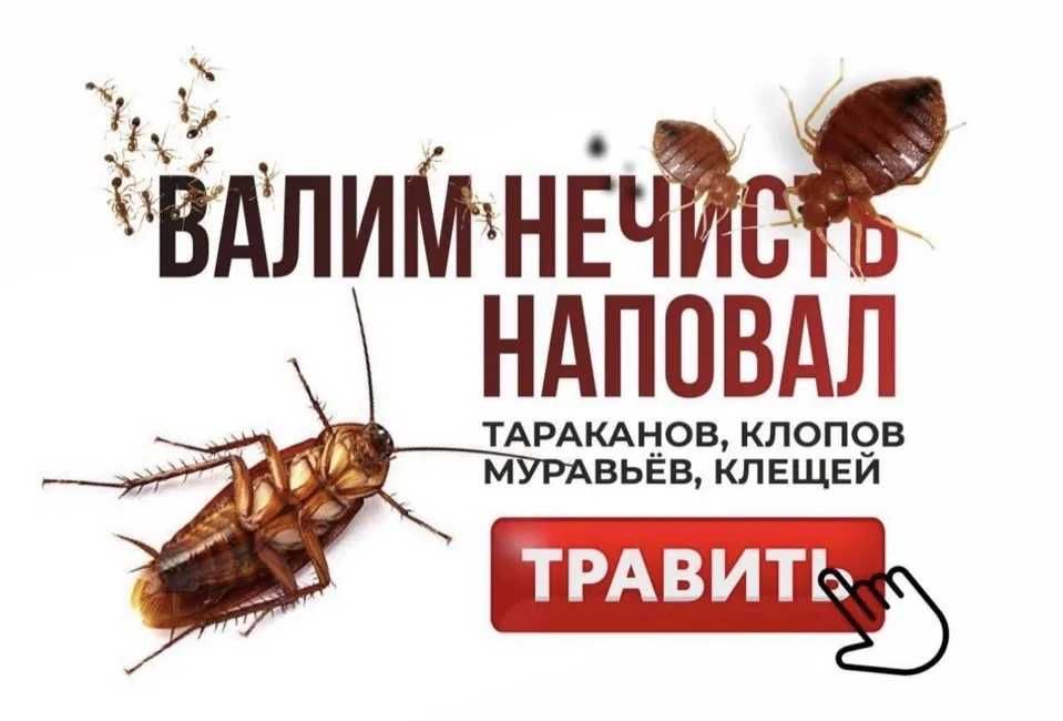 Дезинфекция  от клопов, тараканов, блох! Гарантия,Результат100%