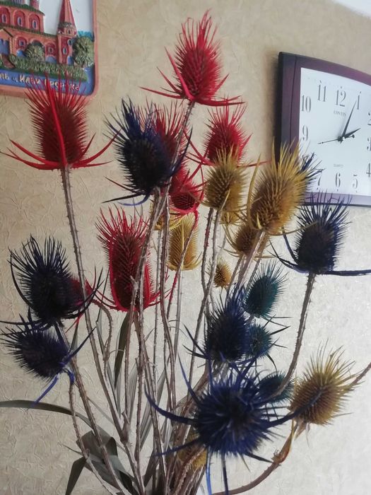 Сухоцветы для интерьера