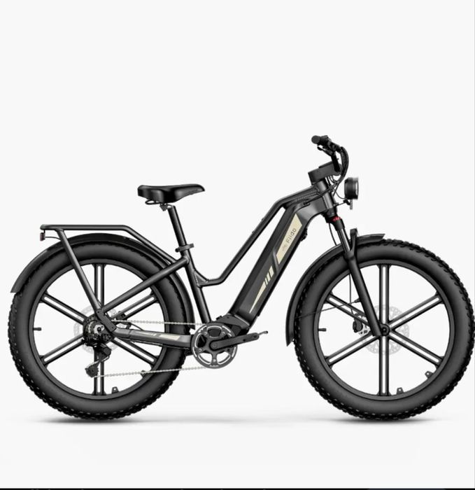 Bicicleta electrica Fiido Titan
