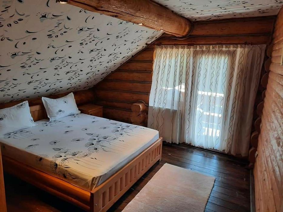 Cabana , munte ,Beliș