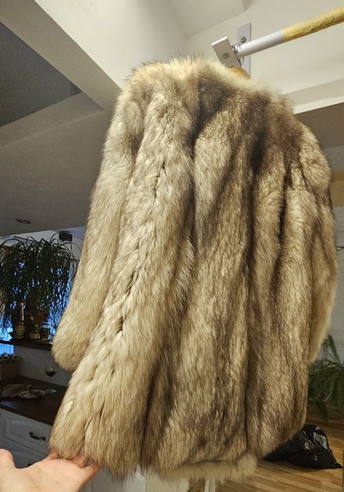 Haina de blana vulpe argintie