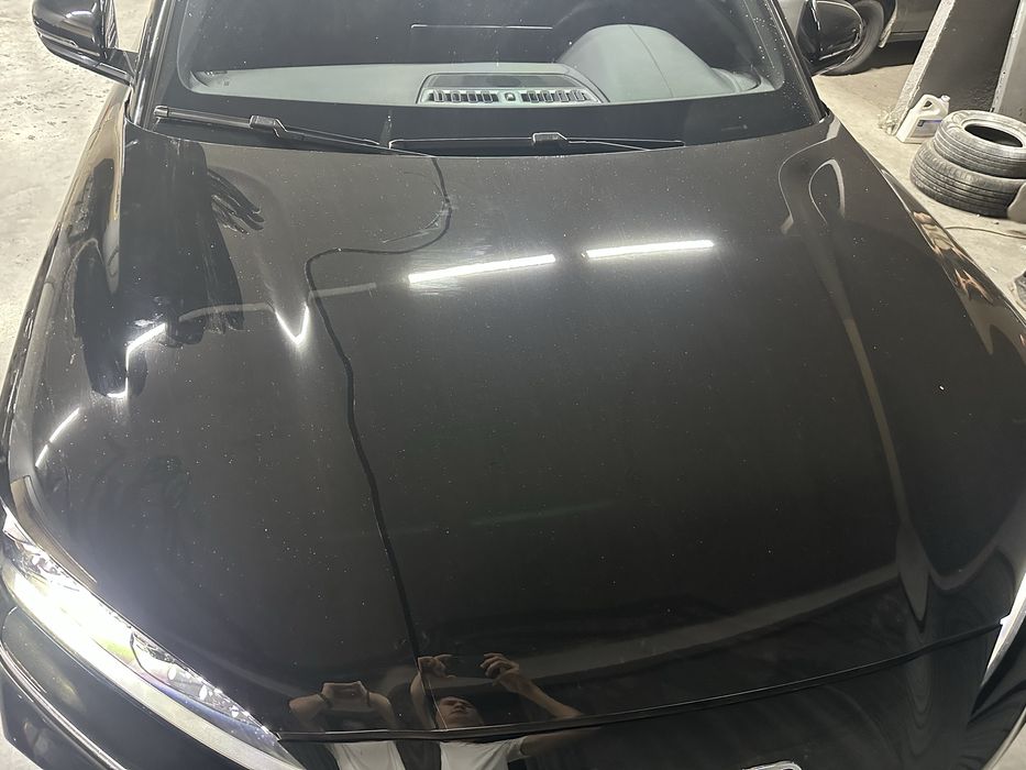 Петно сепилган чемпион ЗАВОД капот