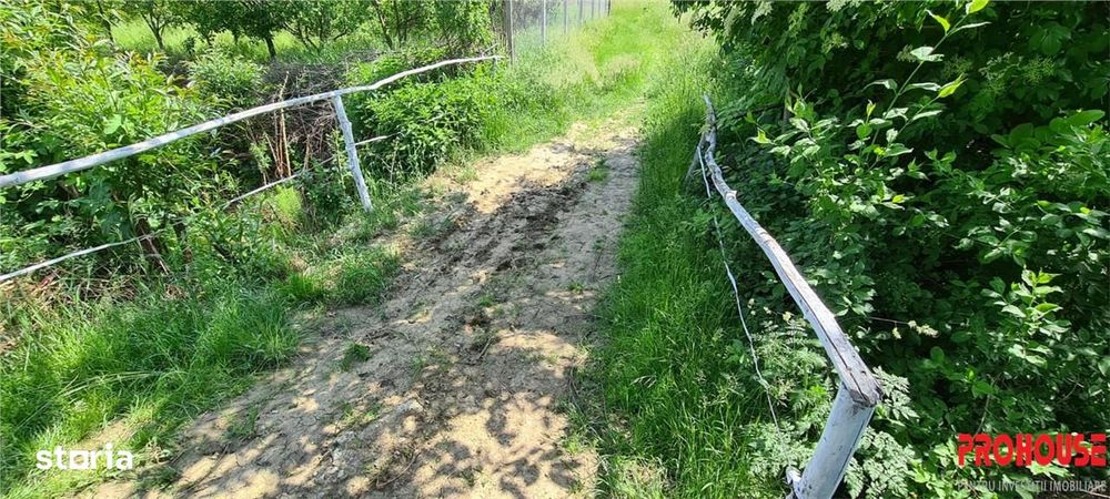 Teren 2033 mp- langa padure-  Margineni- Podis Dubas