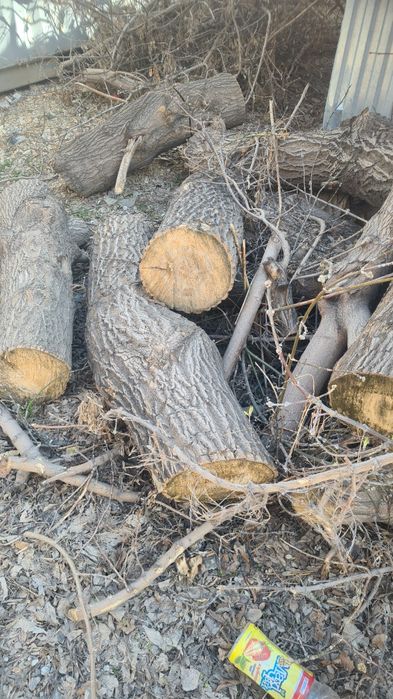Бревна на дрова даром