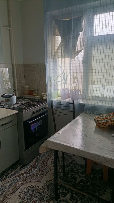 Квартира ботаника 1 хонали