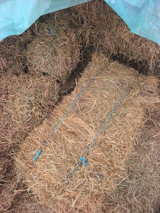 Vând baloti de lucerna și fan