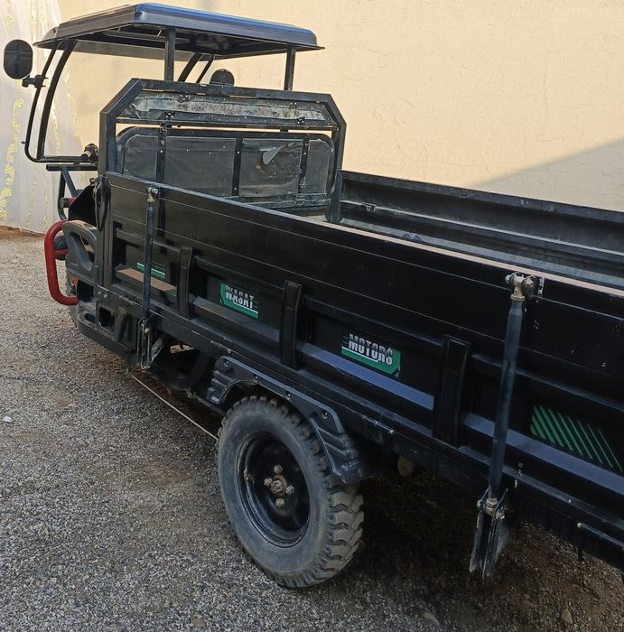 Плектром Муравей,  Elektro Muravey