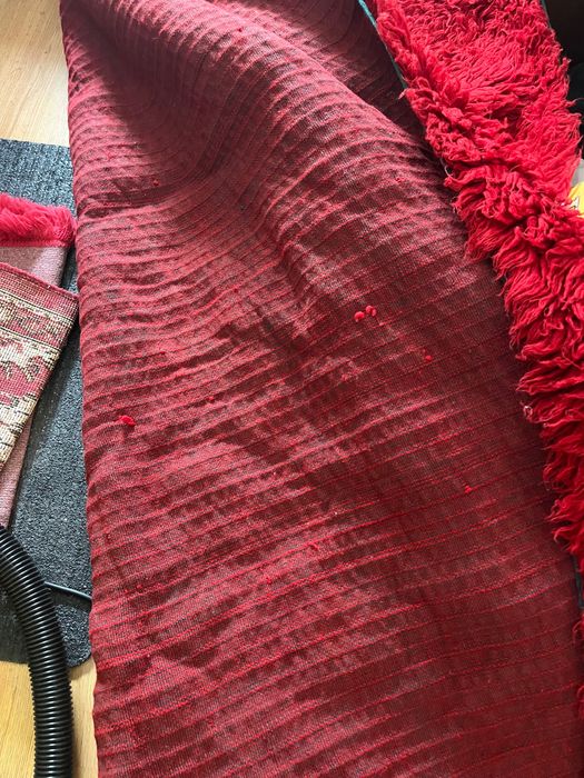 Червен китеник вълнен