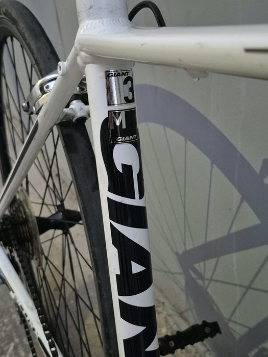 Bicicleta de sosea Cursiera