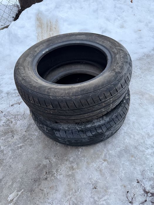 Две резины на 15     195/65R15