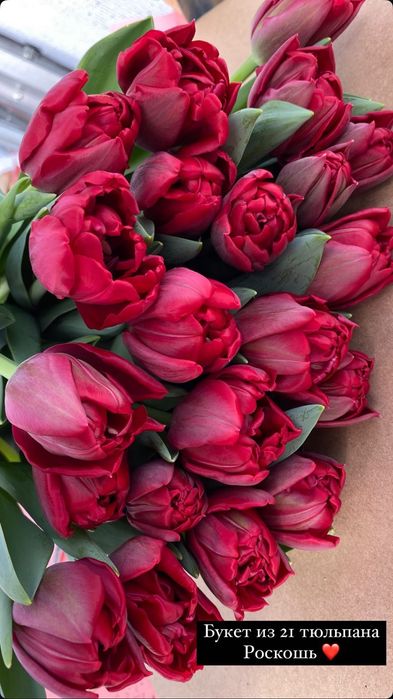 Тюльпаны к 8 марта