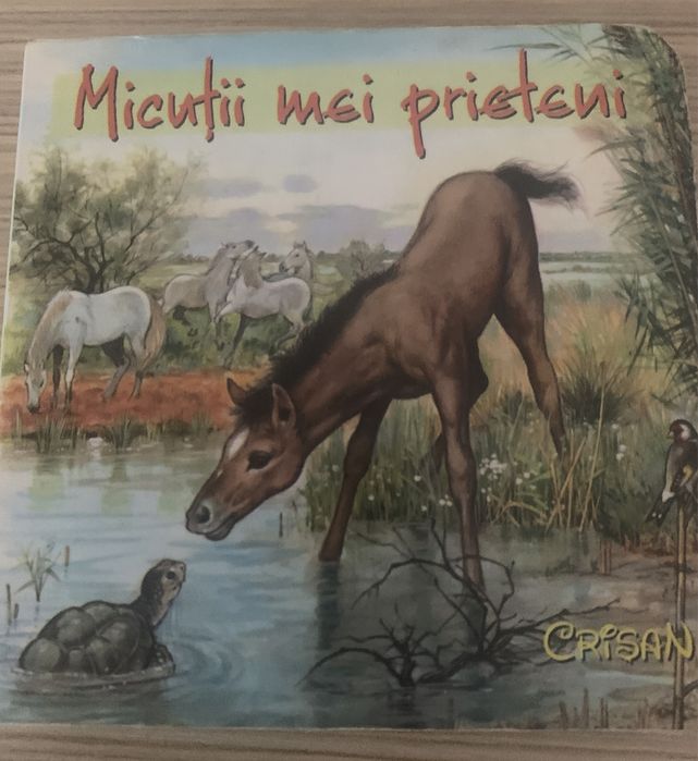 Carte copii editura crisan
