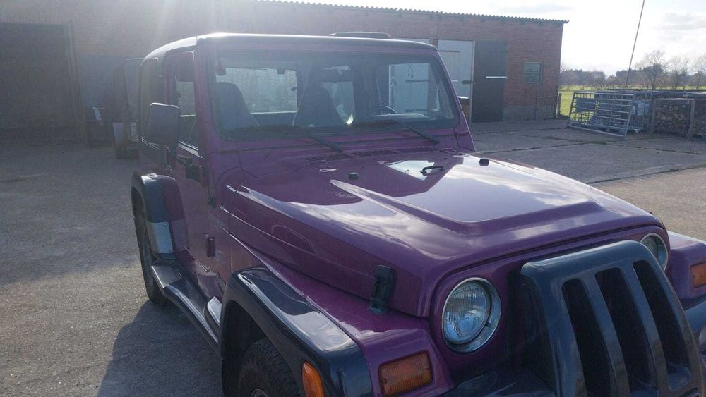 Jeep Wrangler editie Renegade