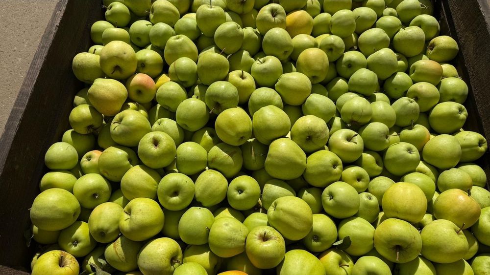Vand mere 2.5lei/kg si pere 4 lei/kg