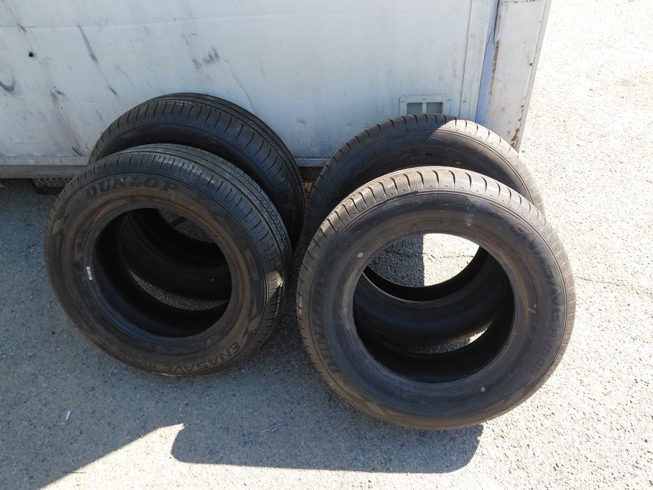 Шина летний горонтия