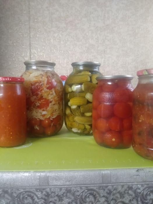 Грибы маслята, валуи, соленья