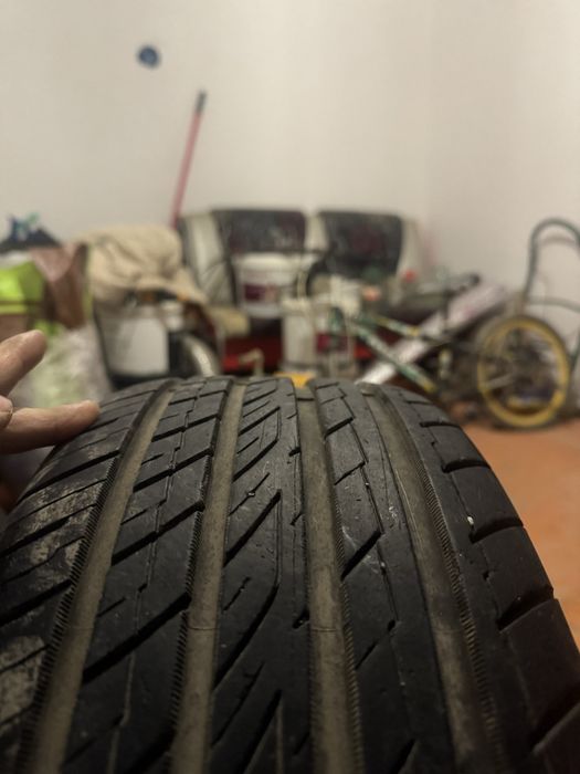 Камрики торус атика