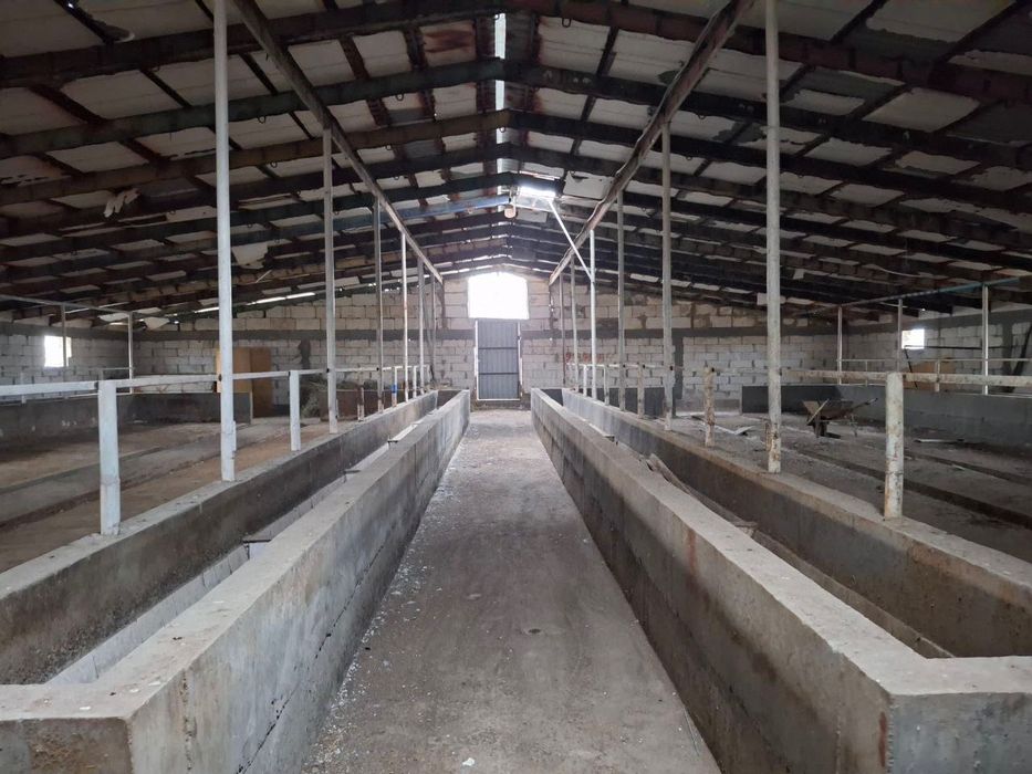 FARG’ONA , Rishton Tumanida tayyor biznes arzon narxda sotiladi .