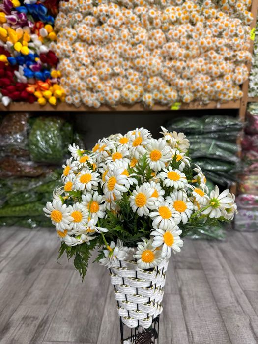 Gul optim narxda arginal