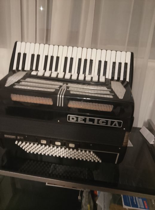 Acordeon Delicia