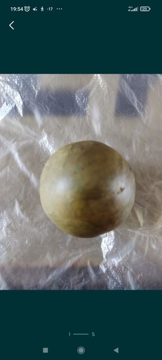 Перга пчелинный хлеб