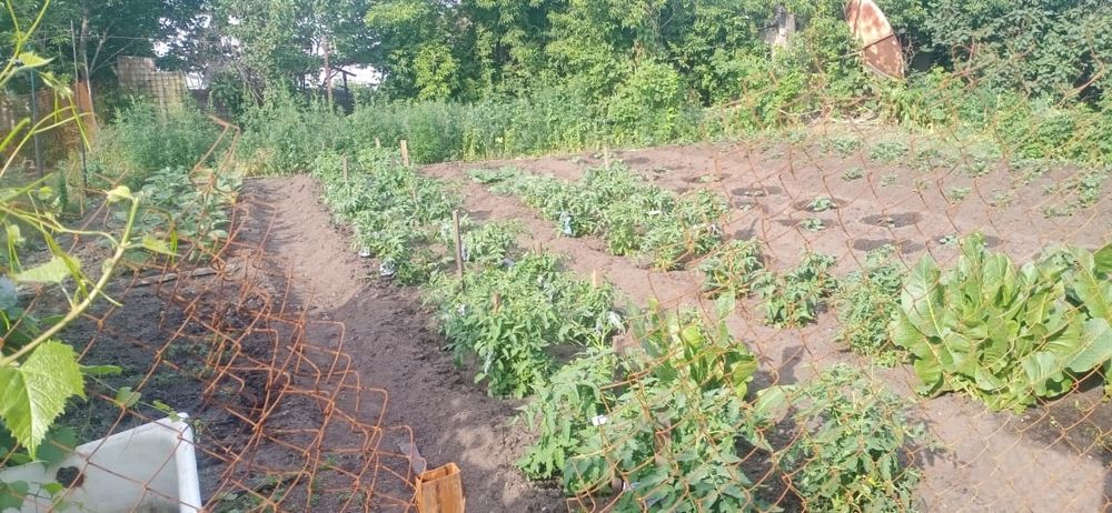 Продается дом по Калинина