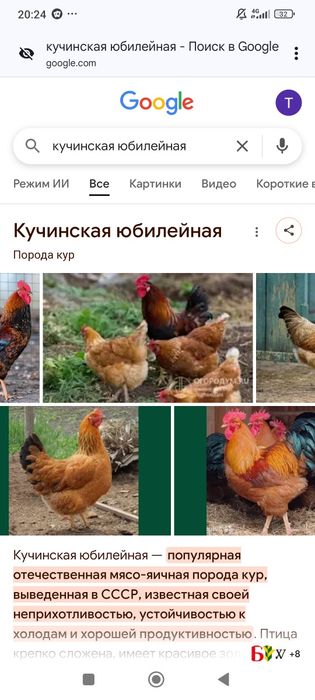 Яйца домашние свежие