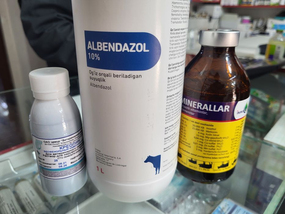 Куй юнгини олиш хизмати 
Тошкет шахар бойлаб 
Жигаридиги курт