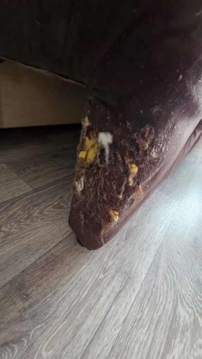 Продам диван для дома или дачи