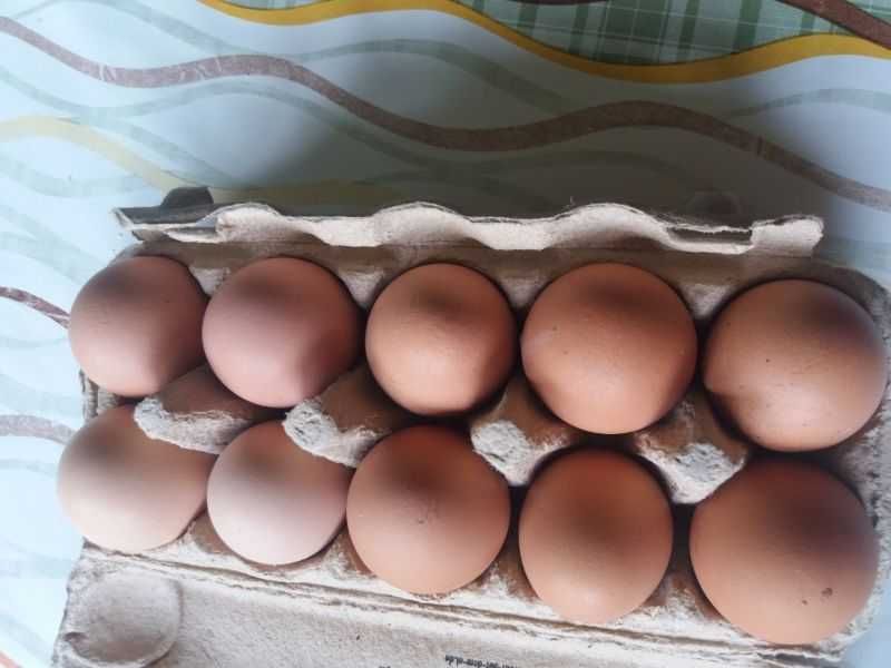 Oua de gaină proaspete.