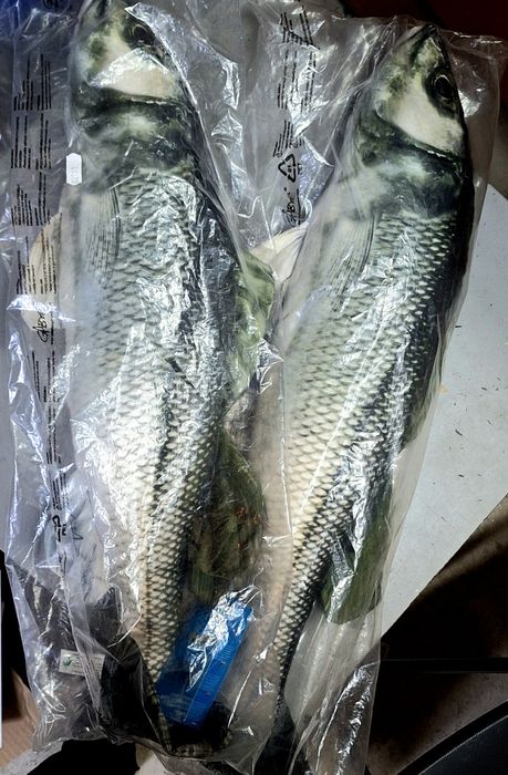 Възглавница риба - лаврак