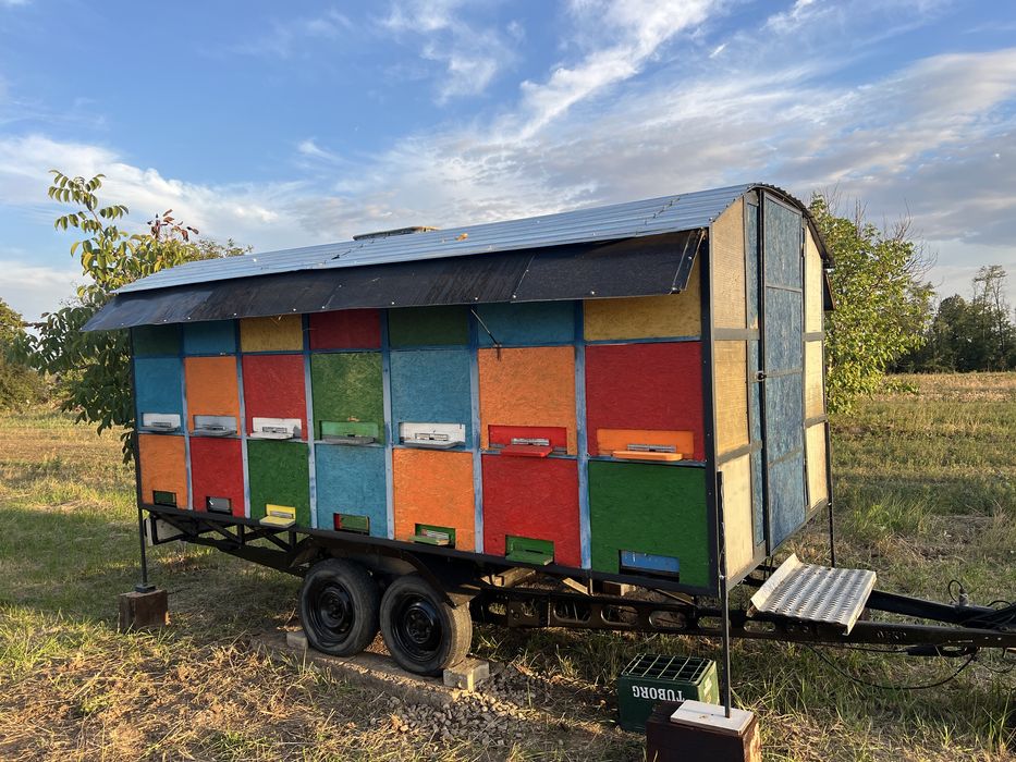 Remorca apicola omologata