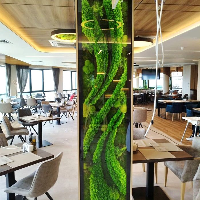 Зелени стени,пана,фирмени лога и картини от скандинавски