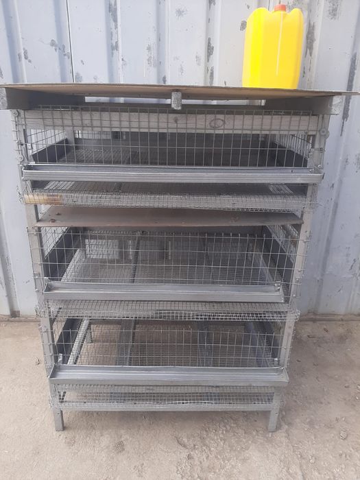 Брудер для перепелок