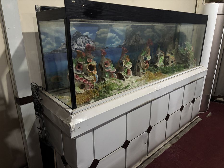 Narxi kelishiladi 600litrli akvarium