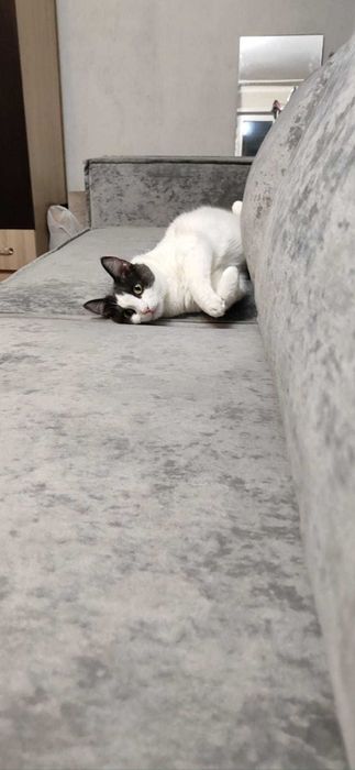 Продам большой диван в отличном состоянии!