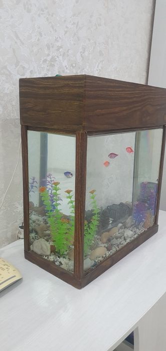 Аквариум без рыбок