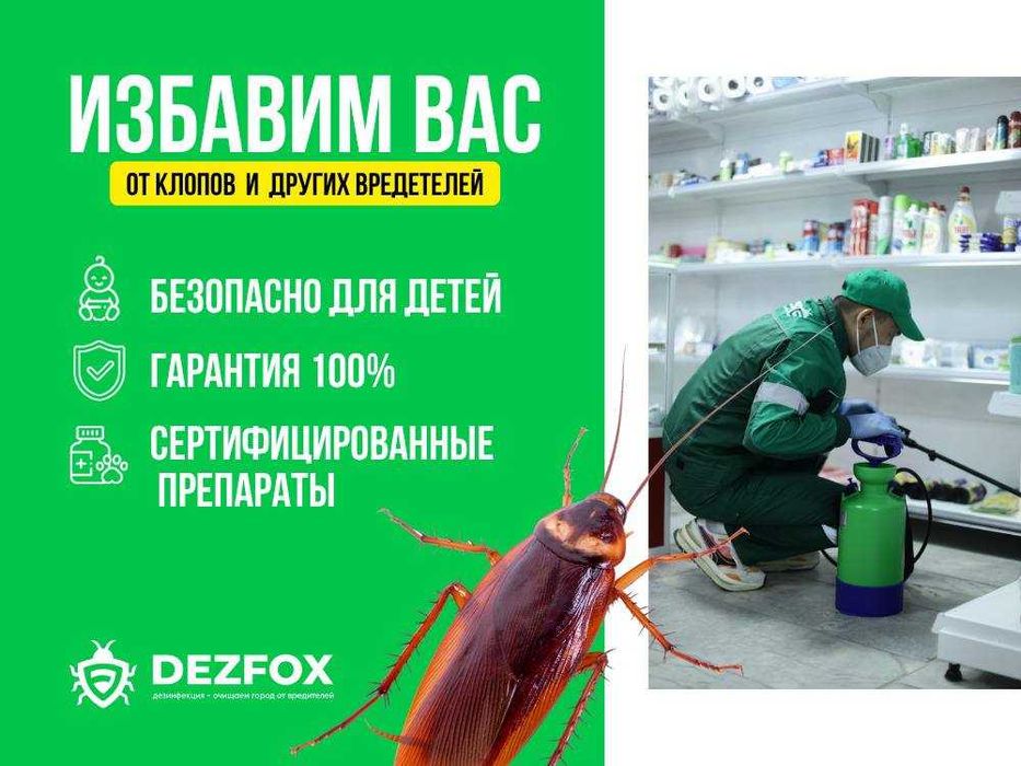 Деззинфекция Помещений Кафе Квартиры От Насекомых Мышей Крыс