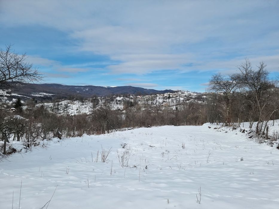 Teren cu vedere la muntii Leaota(primii 1600 intravilan+dif.extravilan