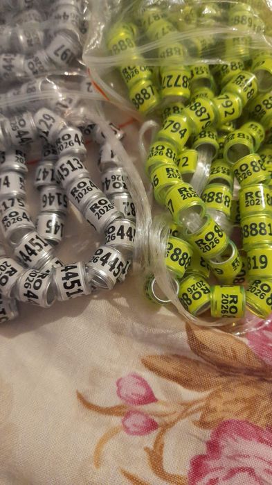 Inele porumbei  România