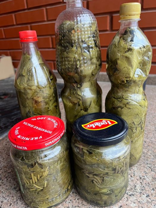 Виноградные листя для долмы