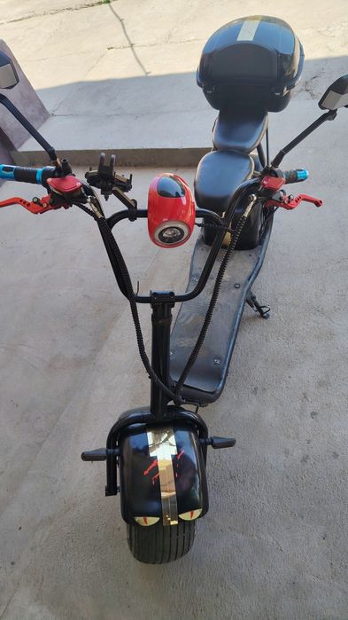 Sity Coco harley
