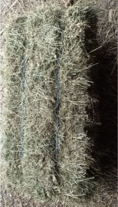 Baloti Fan LUCERNA 25kg