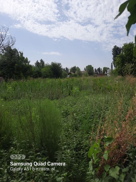 Toshkent viloyati Oqqo‘rg‘on tumani Mamunt mahallasi uy sotiladu.