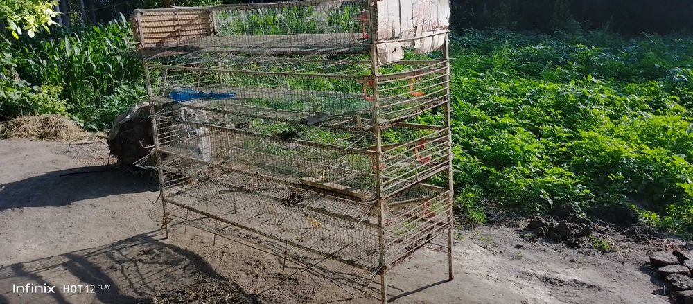 Бедана кафас сотилади 400 йоки 500та бедана бокса болади Темир хаммаси