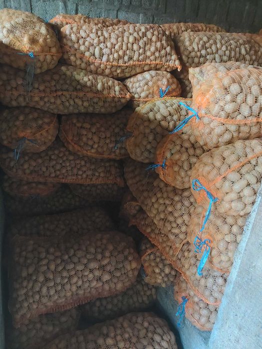 Cartofi mărunt pentru animale